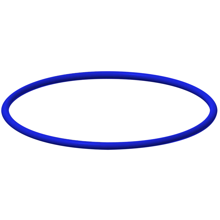 2030042950 - ASSV1003 - F3 - O-ring, blauw